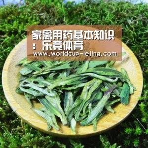 家禽用药基本知识：乐竟体育