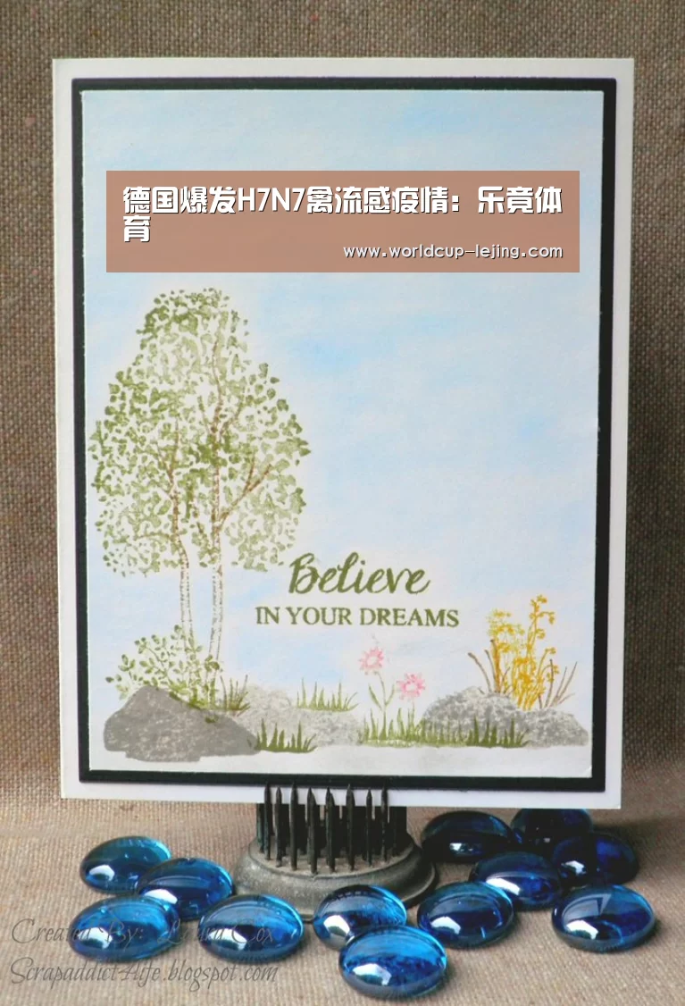 乐竟体育官网