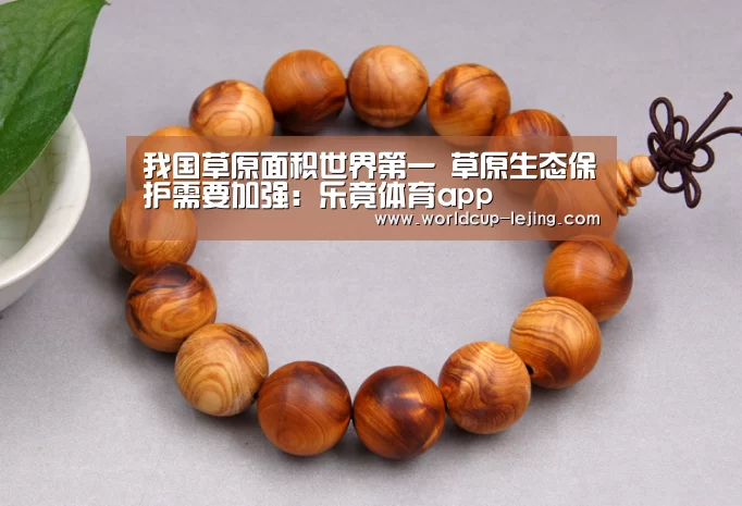 我国草原面积世界第一 草原生态保护需要加强：乐竟体育app