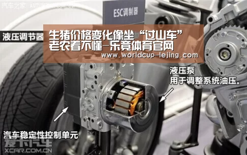 生猪价格变化像坐“过山车”老农看不懂-乐竟体育官网(图4) 乐竟app