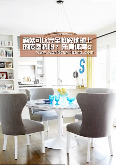 蘑菇可以完全降解地球上的废塑料吗？|乐竟体育app